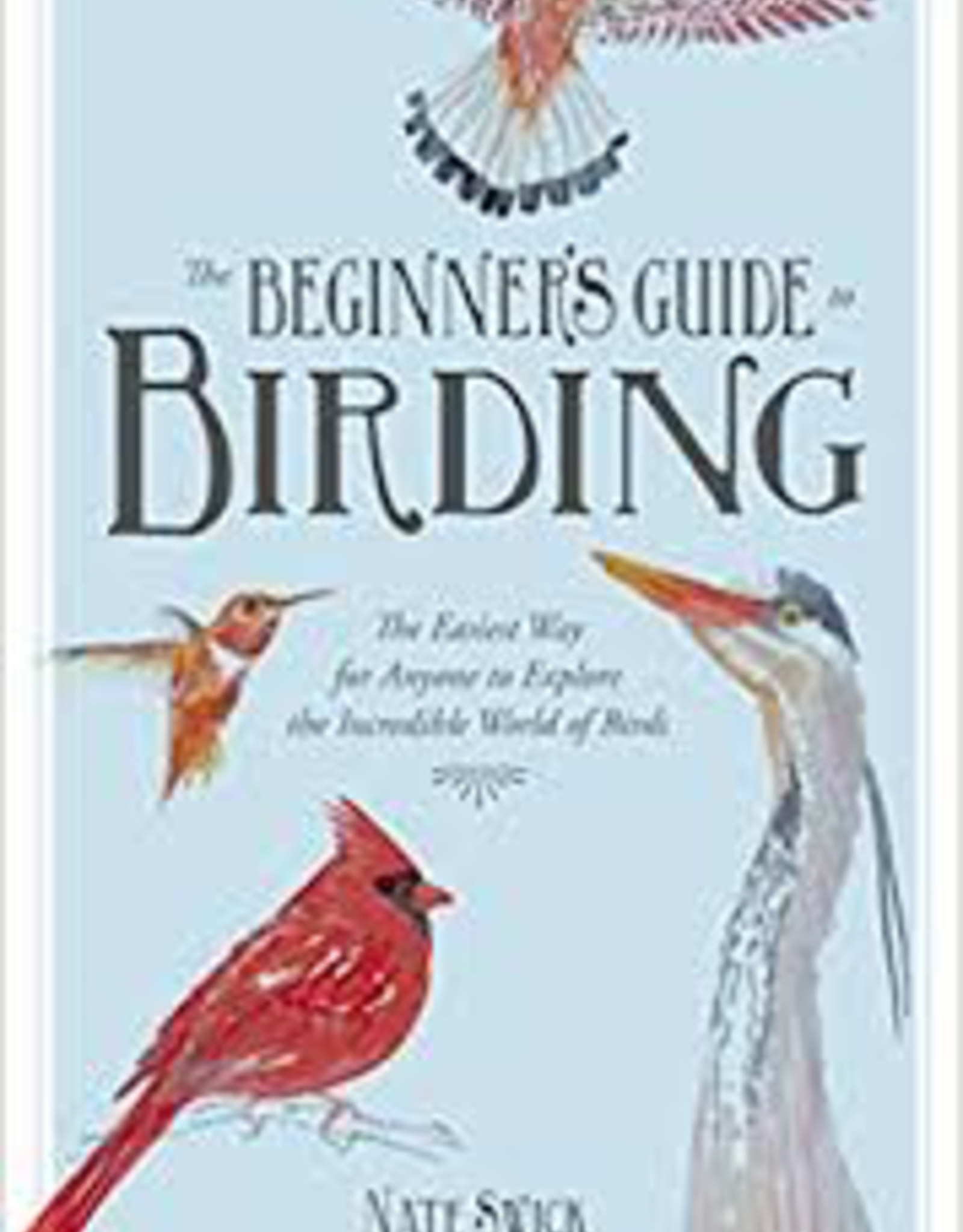 Beginners Guide To Birding