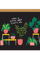 Houseplants Home