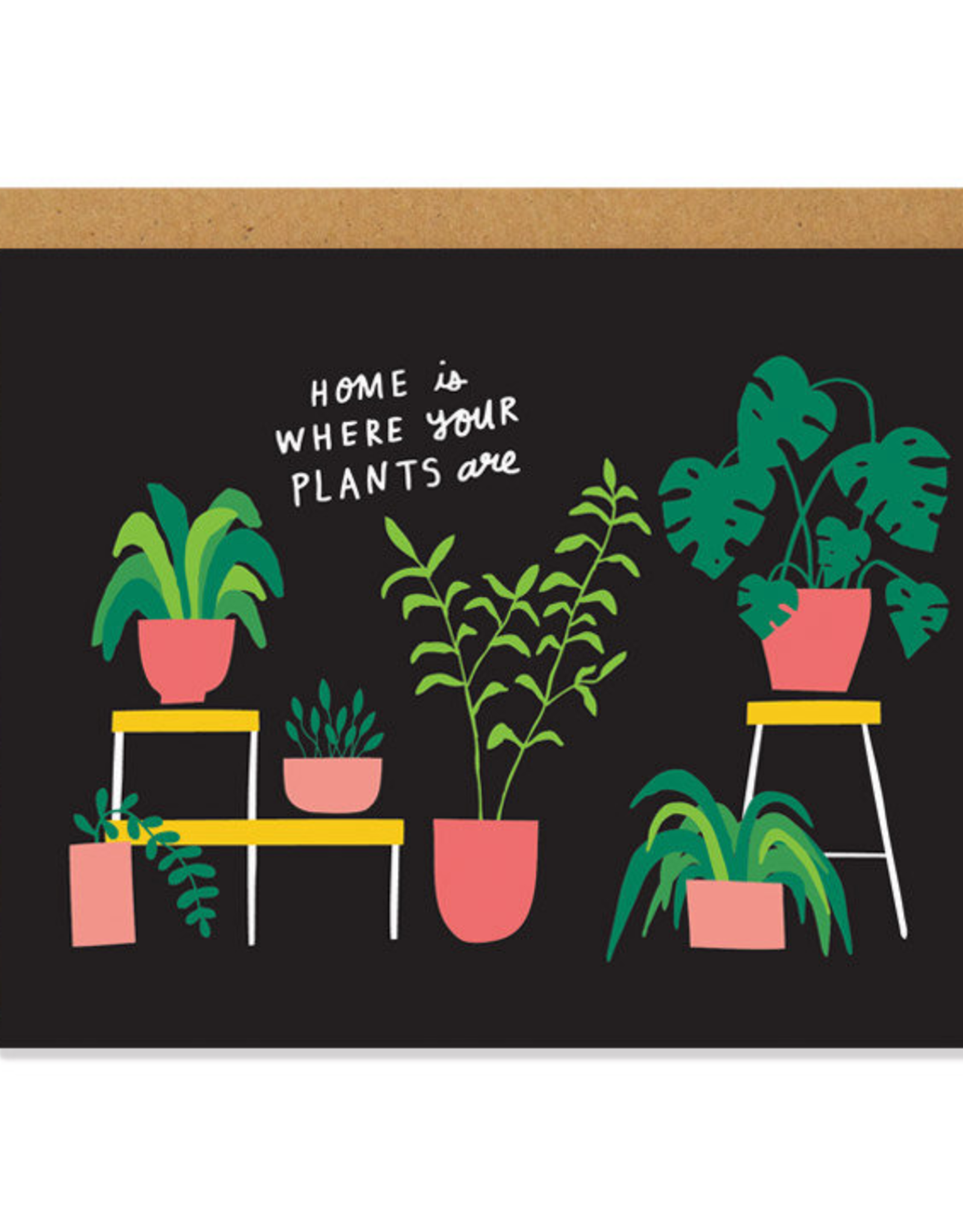 Houseplants Home