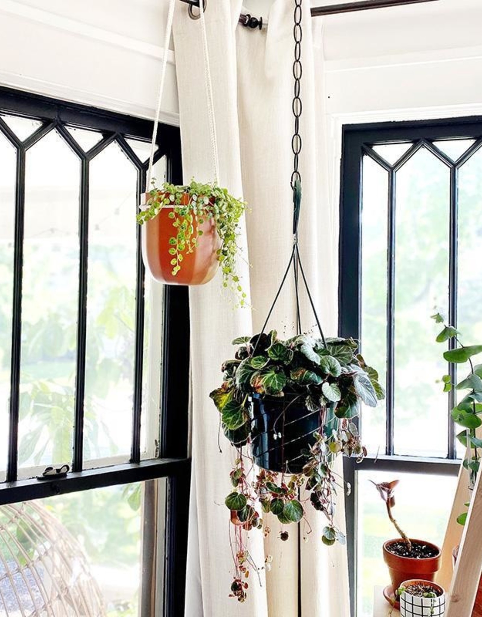 Loop Planter - Terracotta