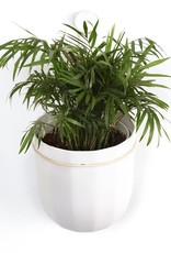 Loop Planter - White