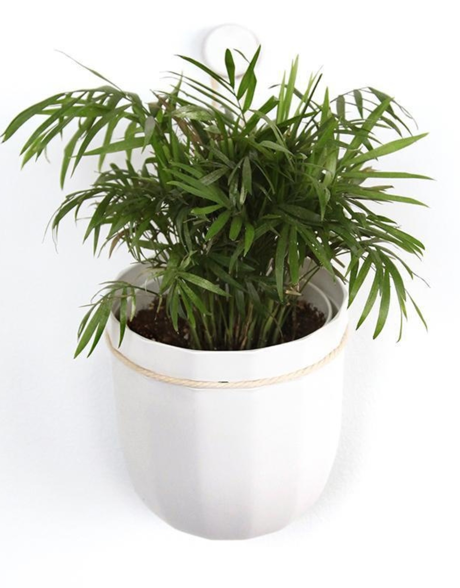 Loop Planter - White