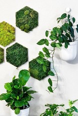 Loop Planter - White