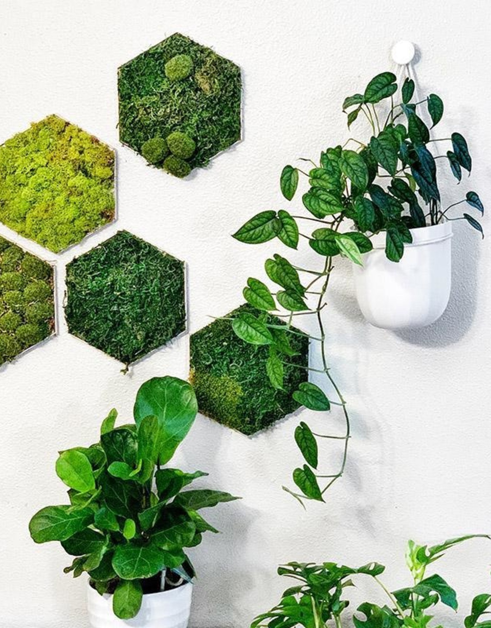 Loop Planter - White