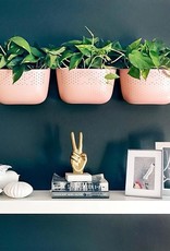 Wall Planter - Rose