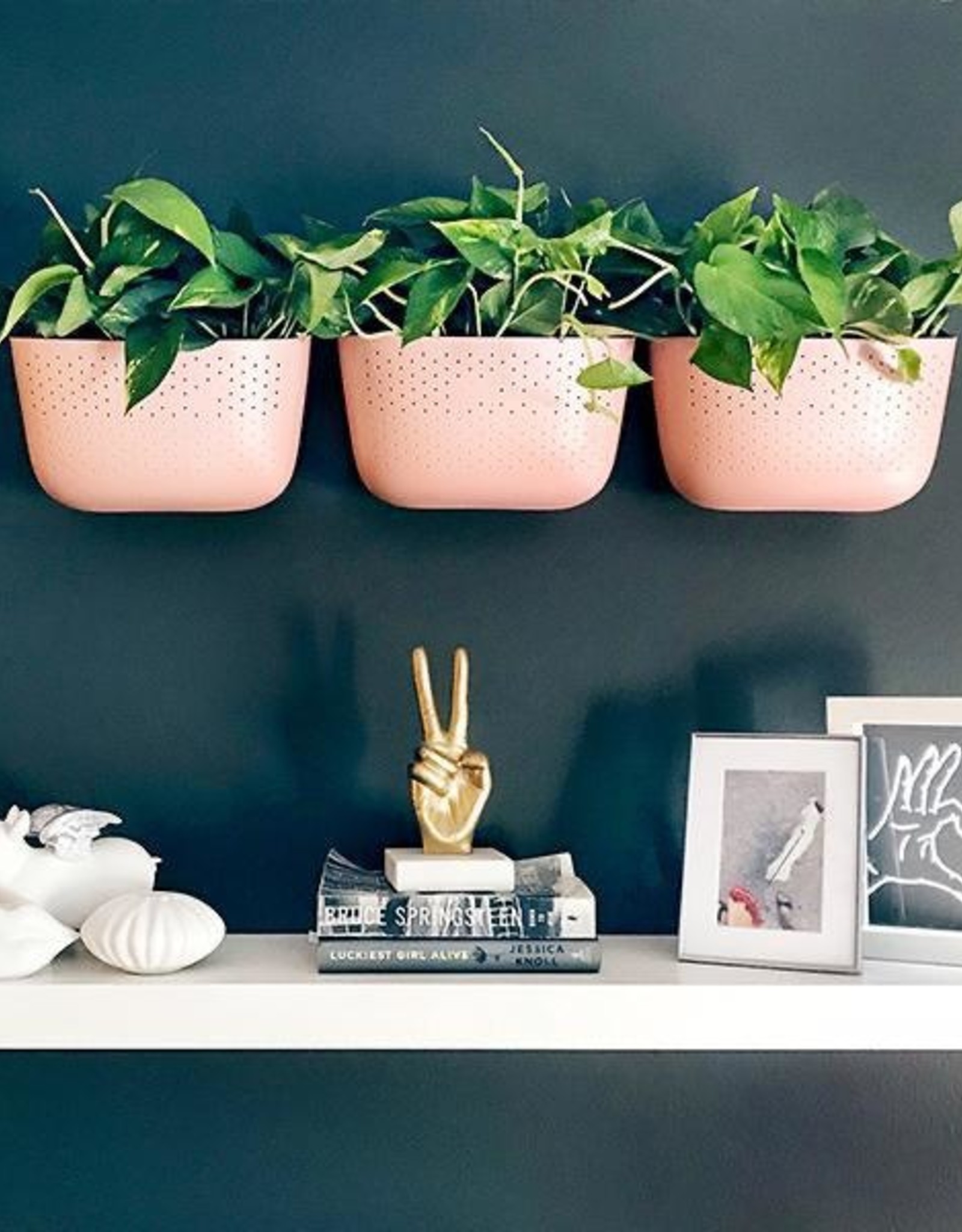 Wall Planter - Rose