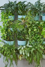 Wall Planter - Spa