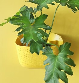 Wall Planter - Sunflower