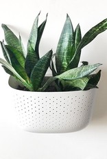 Wall Planter - White
