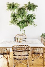 Wall Planter - White