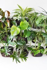 Wall Planter - Espresso