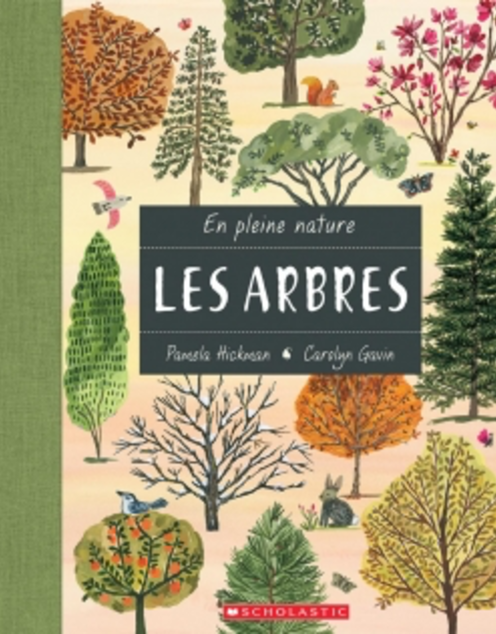 En Pleine Nature Les Arbres