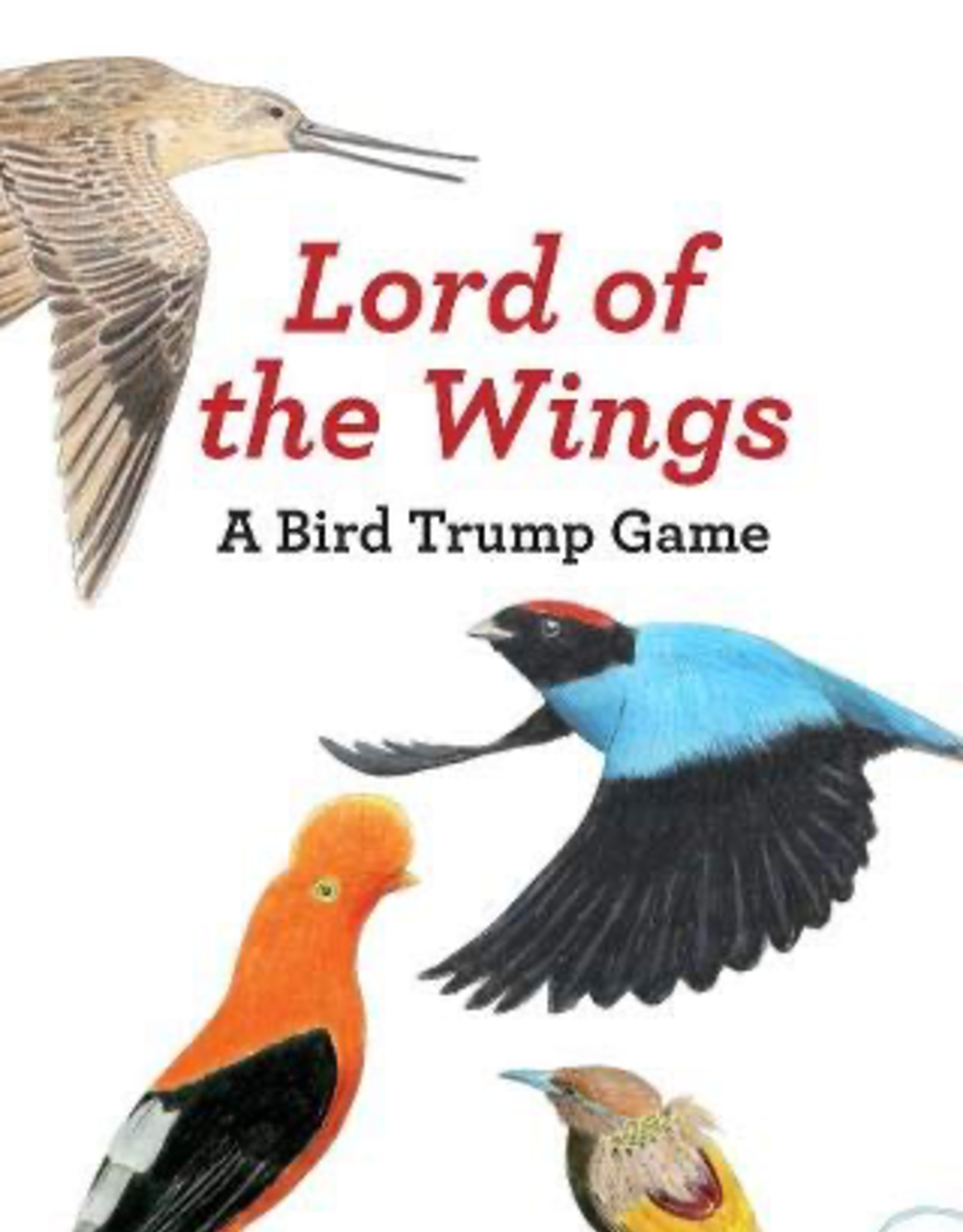 Lord of the Wings