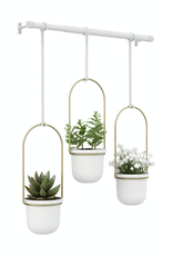 Triflora Hanging Planter White/Brass