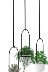 Triflora Hanging Planter
