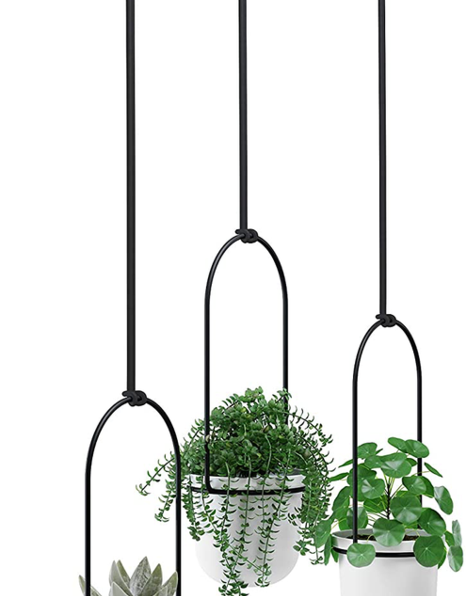 Triflora Hanging Planter
