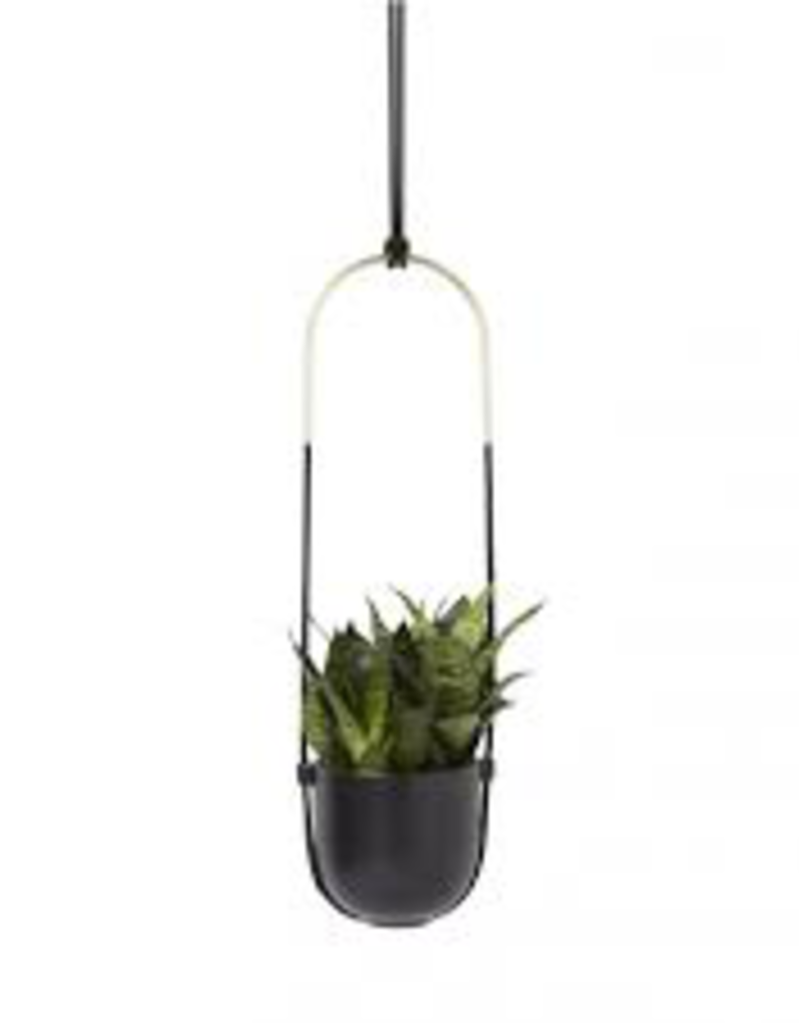 Bolo Planter Black