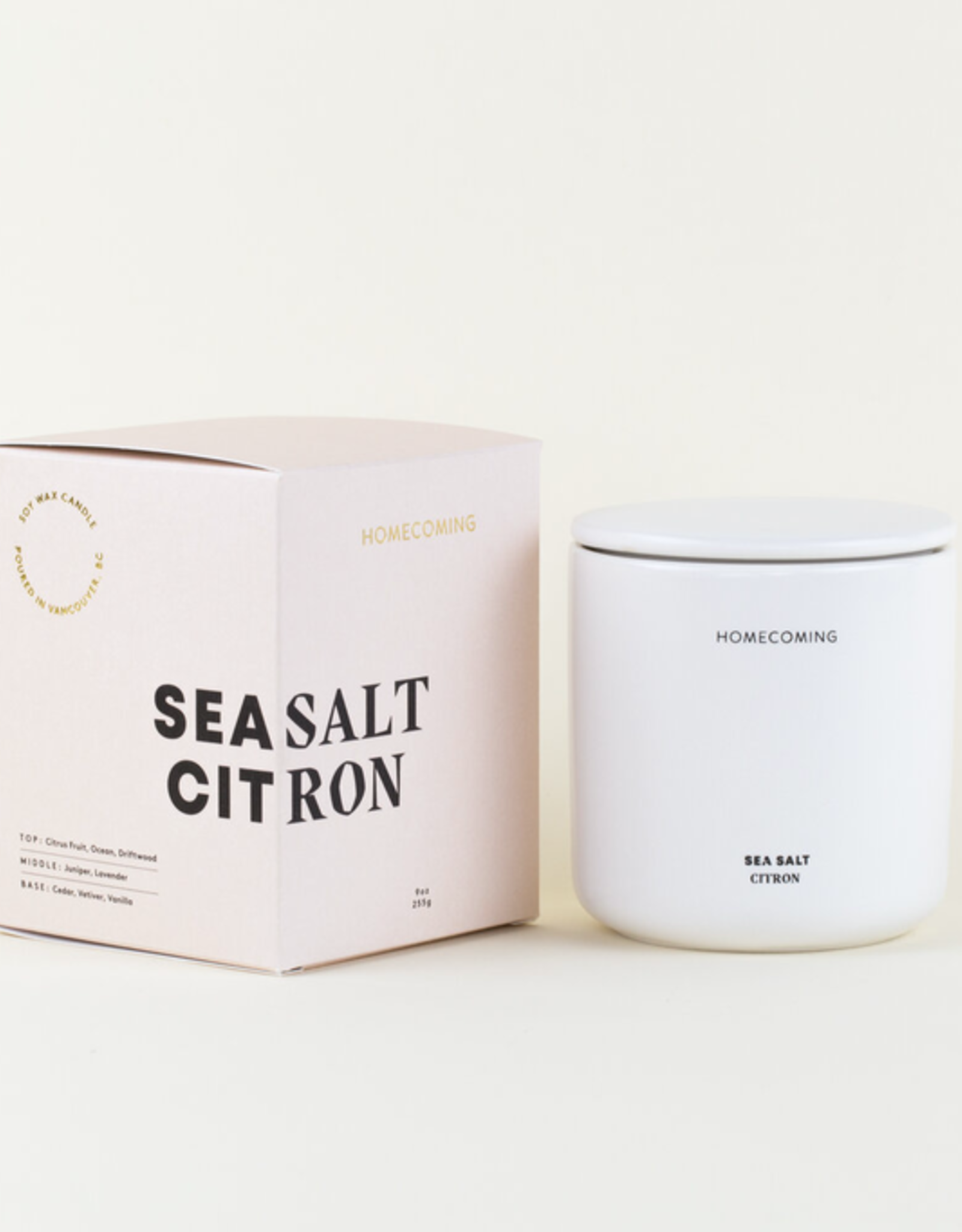 Sea Salt Citron Deluxe Ceramic Candle