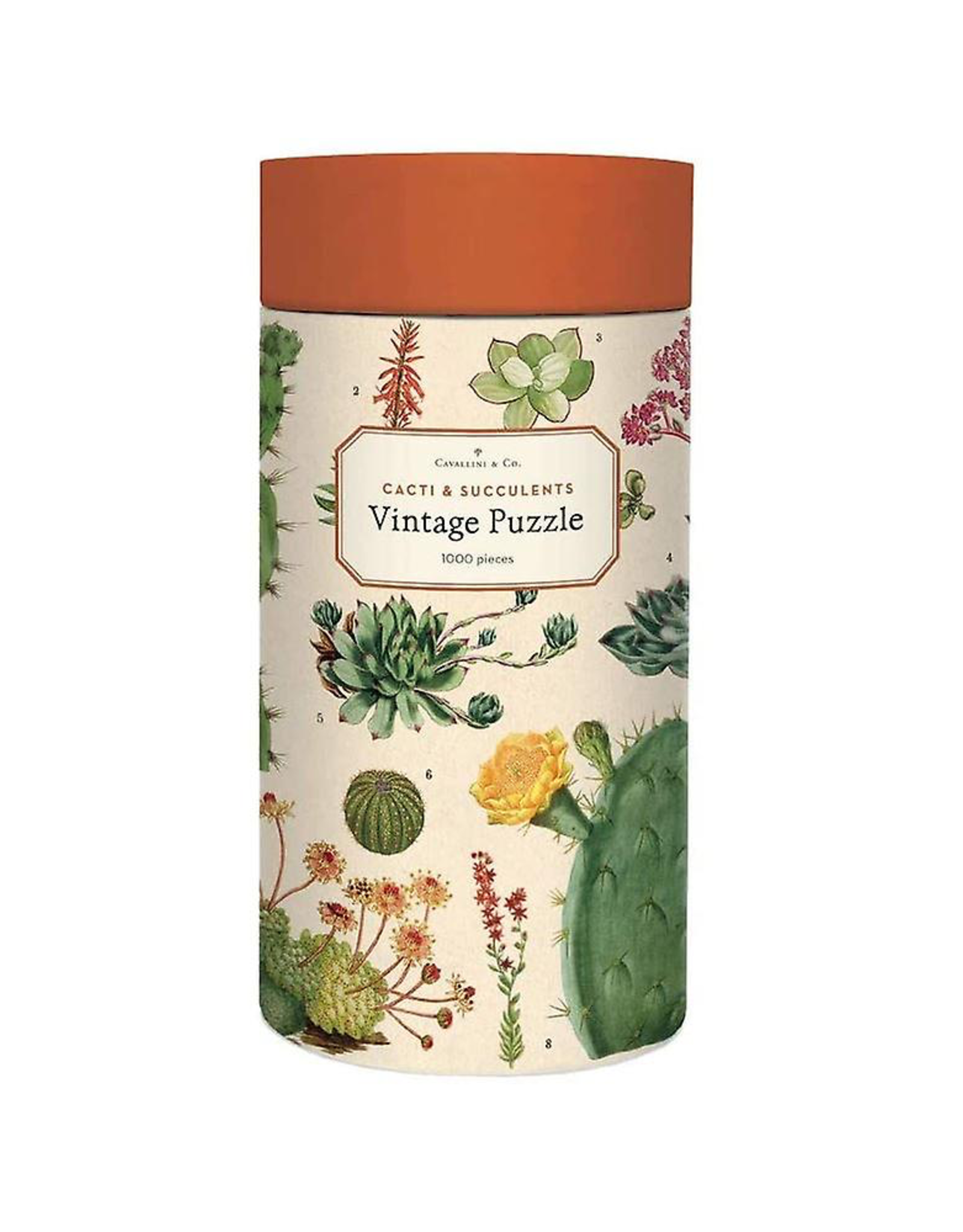 Cacti & Succulents 1000 Piece Puzzle