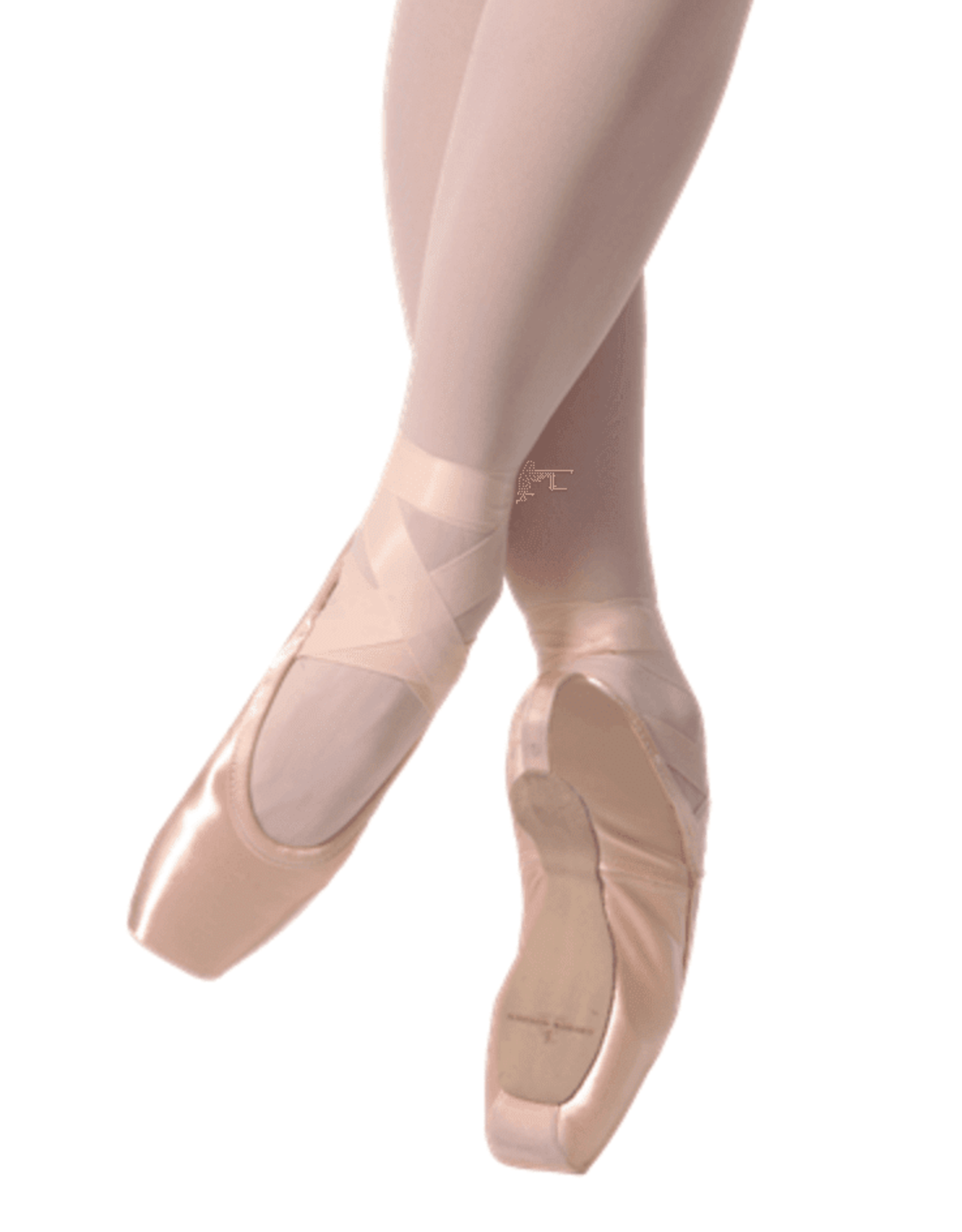Gaynor Minden Lyra Sleek Pointe Shoes