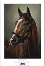 Commemorative Derby Authentic Vox Populi Poster