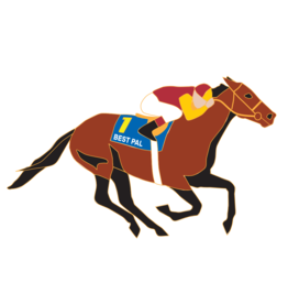 Santa Anita Marketing COLLECTABLE PINS