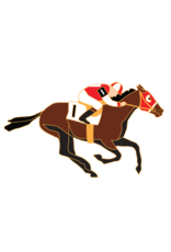 Santa Anita Marketing COLLECTABLE PINS
