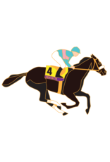 Santa Anita Marketing COLLECTABLE PINS