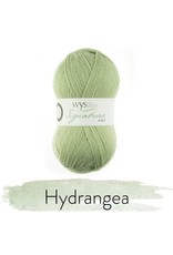 WYS West Yorkshire Spinners WYS 4Ply Signature