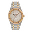 Audemars Piguet Audemars Piguet Royal Oak 15400 41mm(BP17)