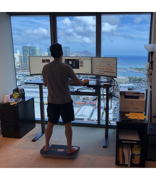 Blue Planet Balance Surfer