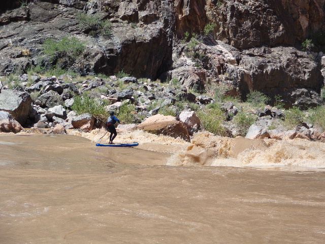 Going into Horn Creek Rapid on the Grand Canyon SUP river trip