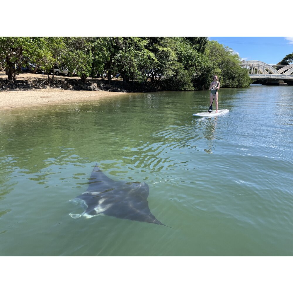 Surfboard, SUP or Kayak Equipment Rental