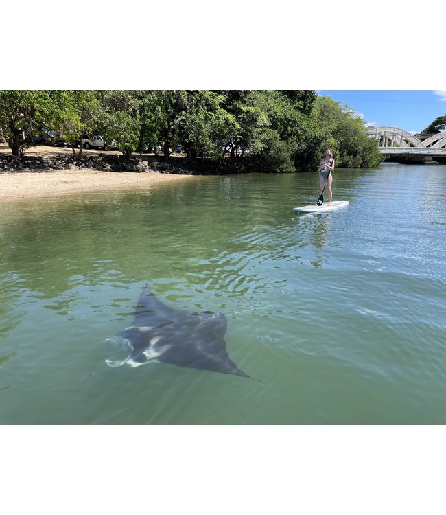 Surfboard, SUP or Kayak Equipment Rental