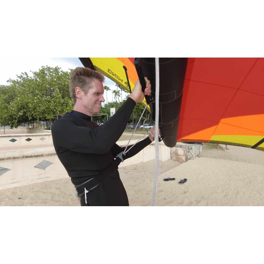 Wing Harness Line
