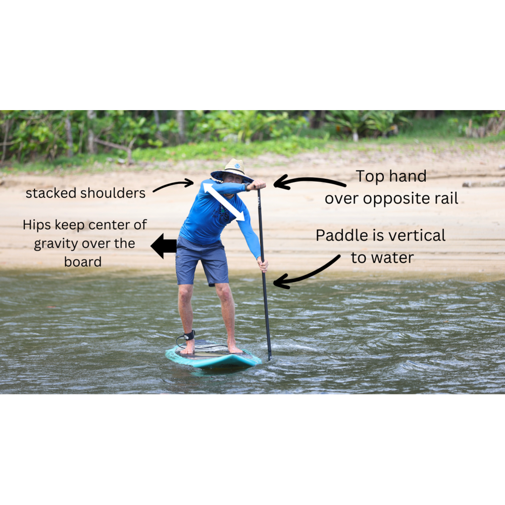 Stand Up Paddleboarding for Dummies