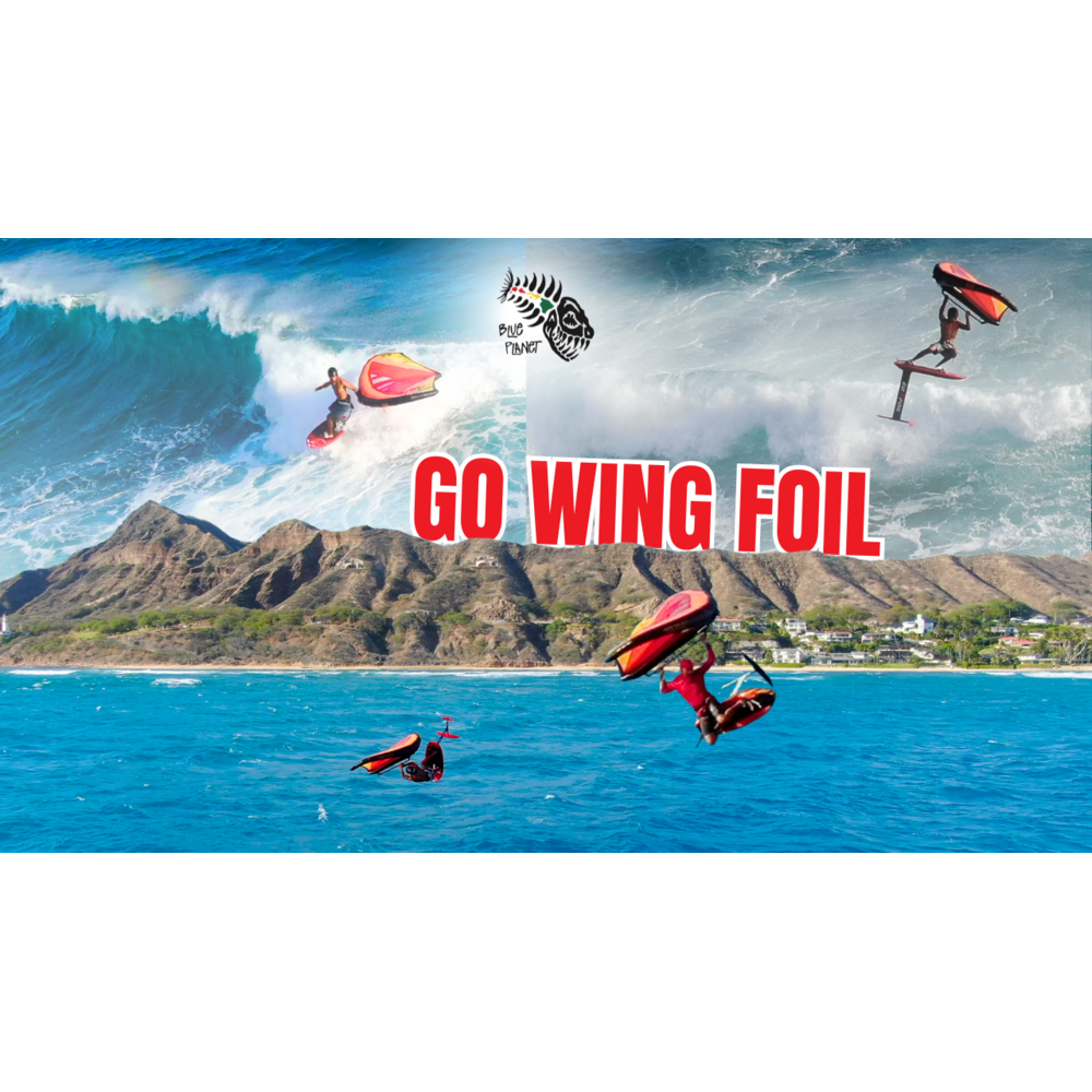 Blue Planet Super Fly Wing
