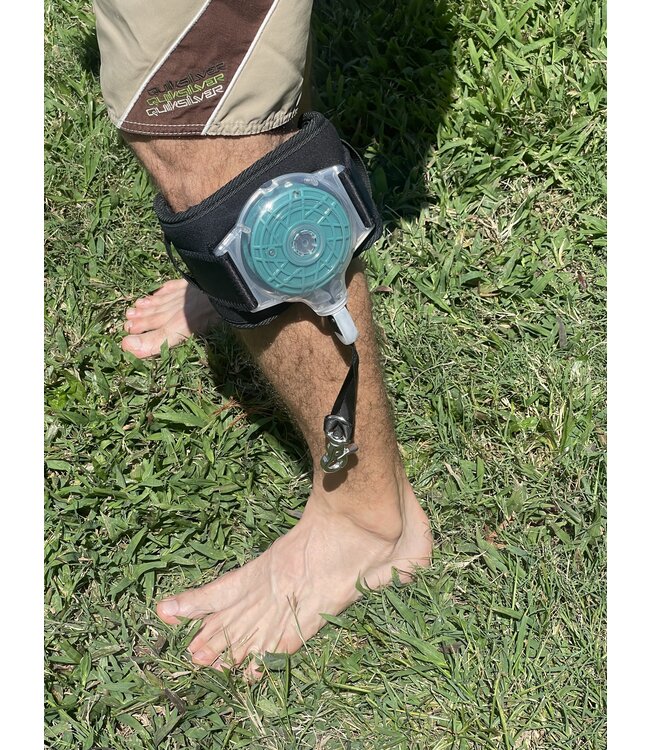 Blue Planet Retractable Reel Leash + Belt + Shock Cord Combo.