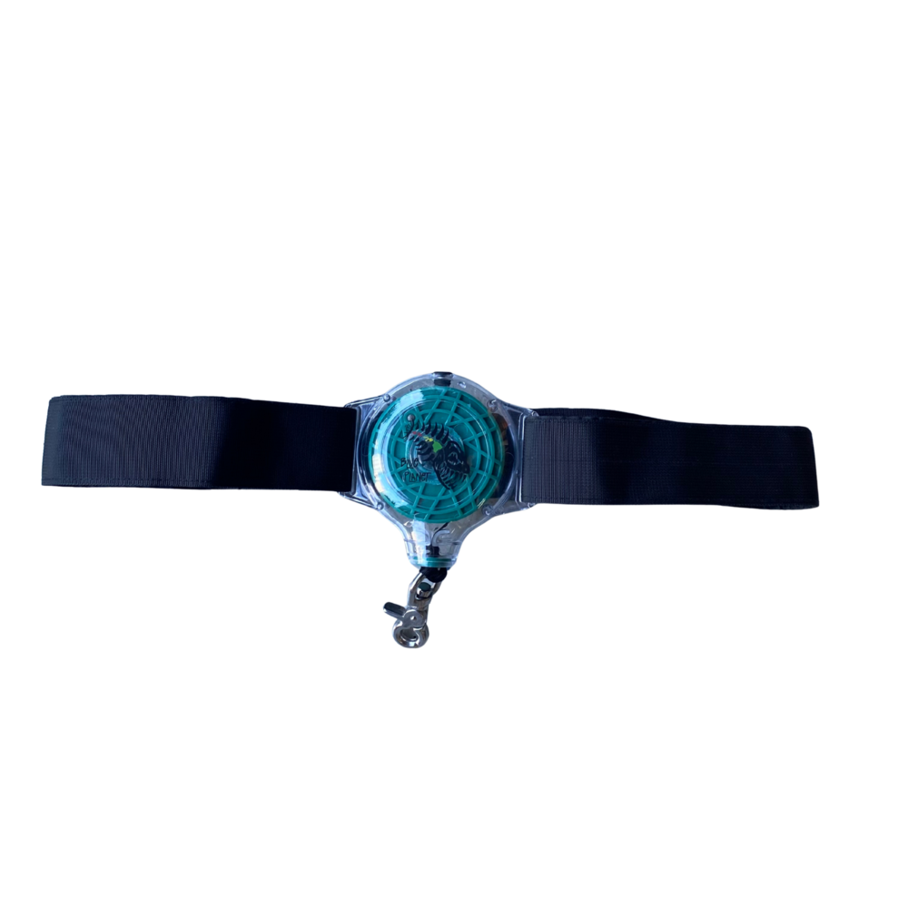 Blue Planet Minimalist Waist Belt