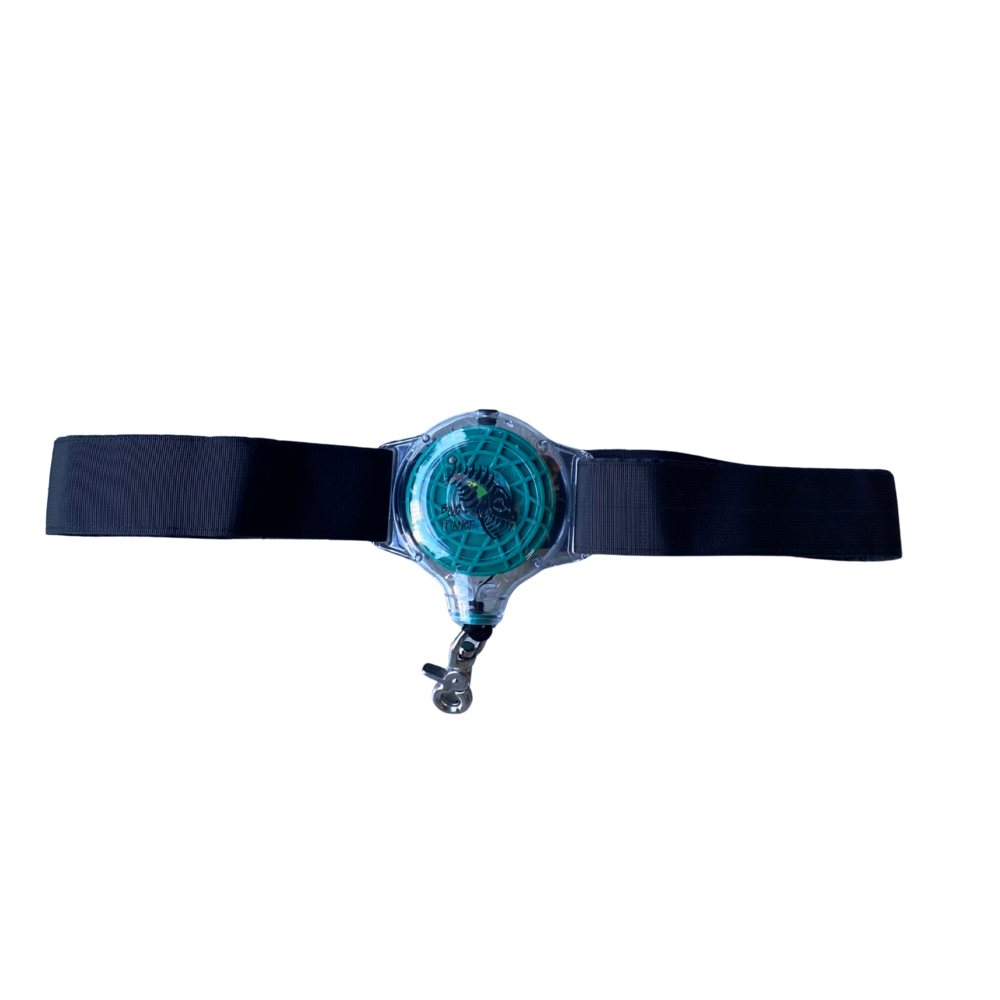 Minimalist Waist Belt