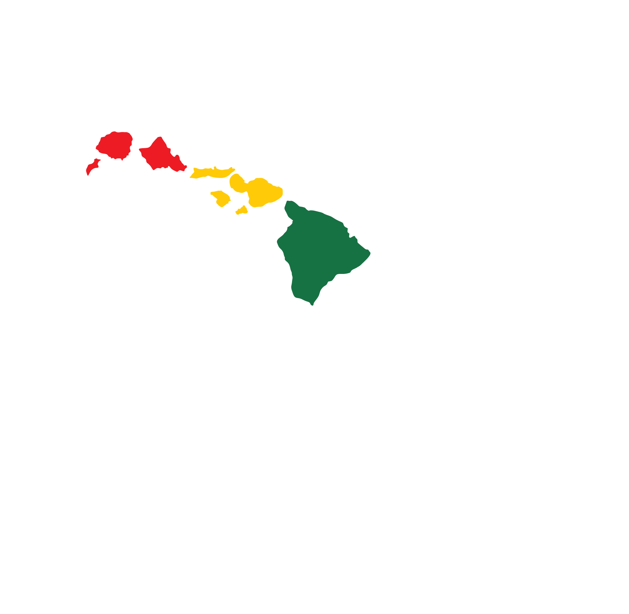 Blue Planet Surf Shop