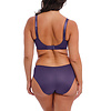 FL6911 Envisage Purple Velvet