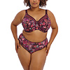GD6162 Kayla Plum Rose
