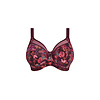 GD6162 Kayla Plum Rose