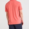 Droptemp Polo Coral Red Heather