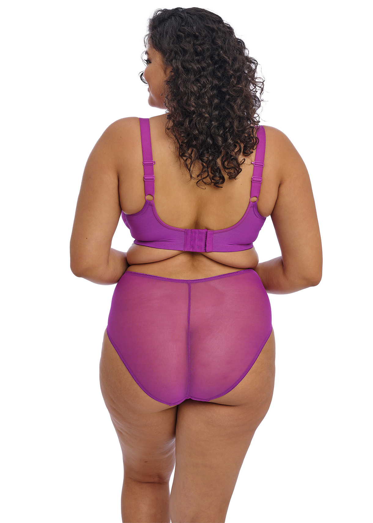 EL8900 Matilda Hollyhock