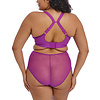 EL8900 Matilda Hollyhock