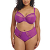 EL8900 Matilda Hollyhock