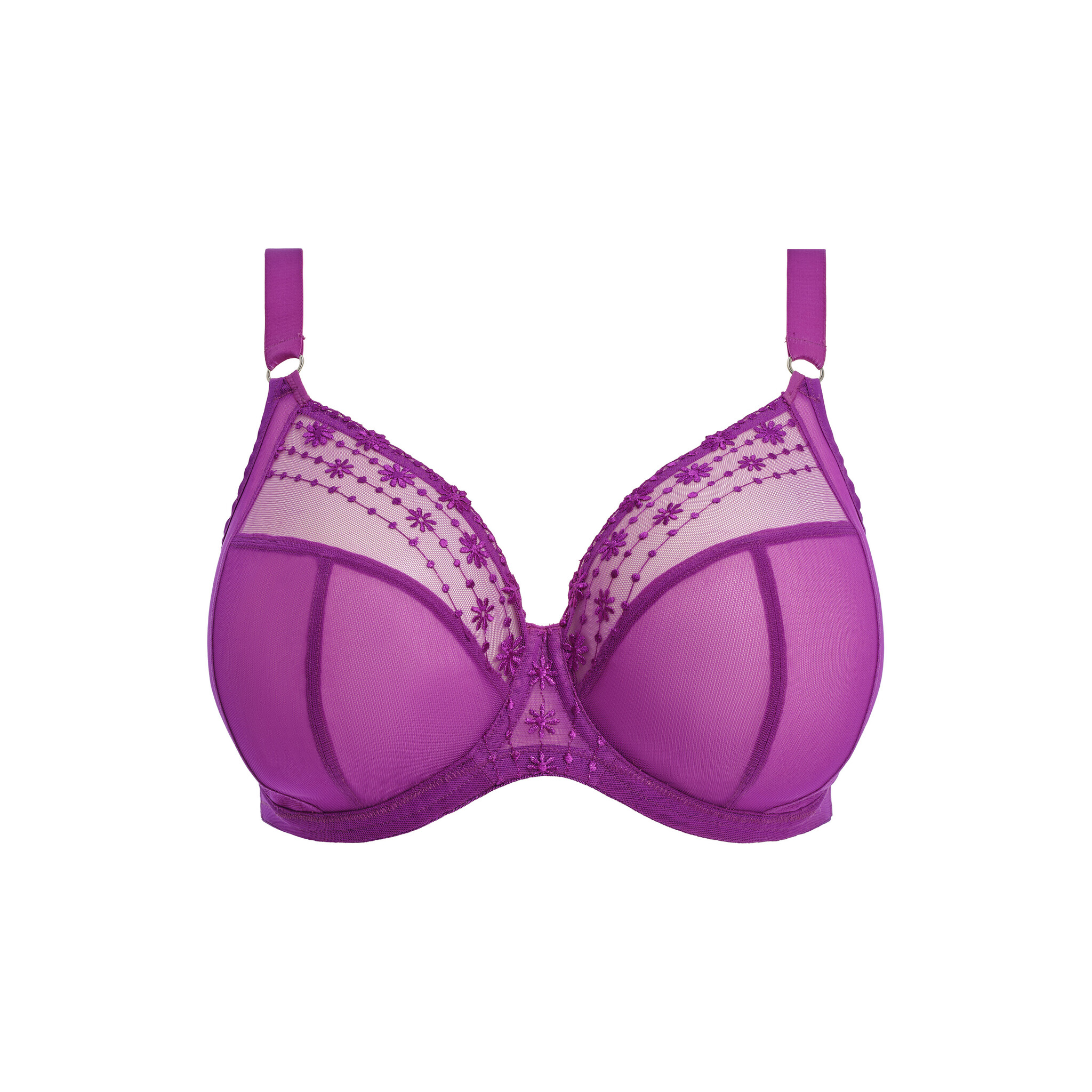 EL8900 Matilda Hollyhock