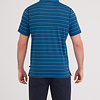 Droptemp Polo Maritime Dark Denim Stripe